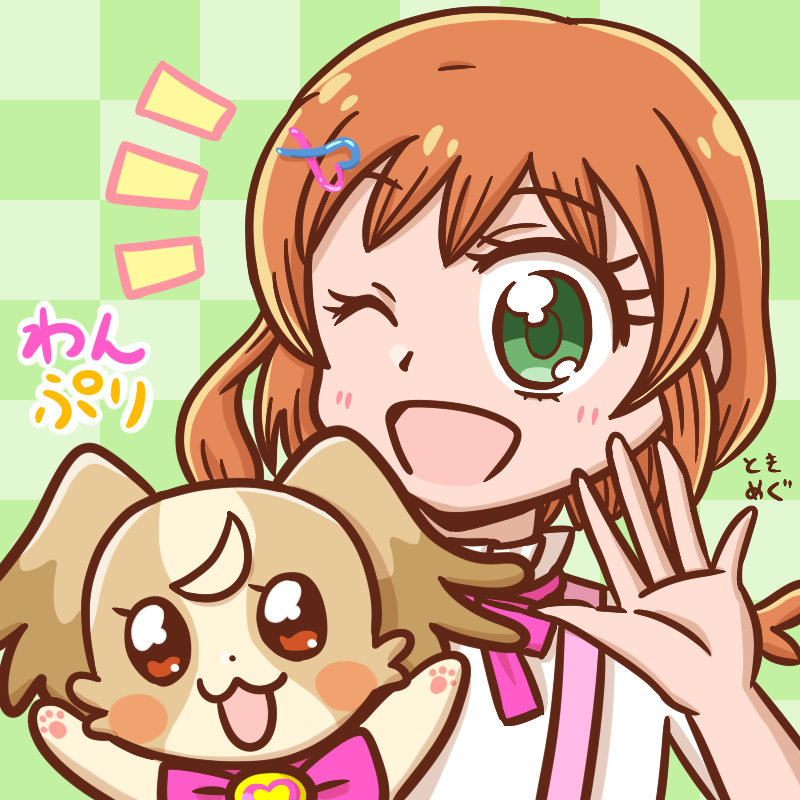 こむぎといろは_250215